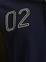 True Religion Men Color-Blocked Polo Collar Full Sleeves Tshirt