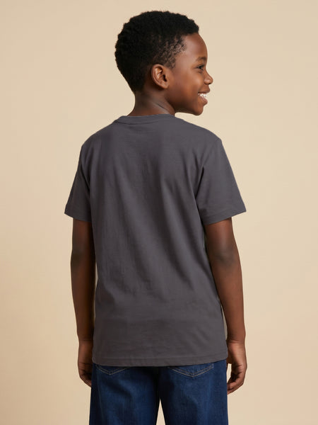 True Religion Boys Grey Solid Regular Fit Pure Cotton T-Shirt