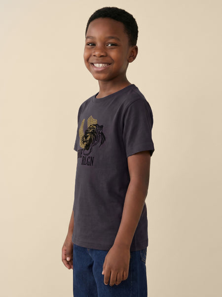 True Religion Boys Grey Solid Regular Fit Pure Cotton T-Shirt