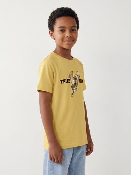 True Religion Boys Yellow Solid Regular Fit T-Shirt