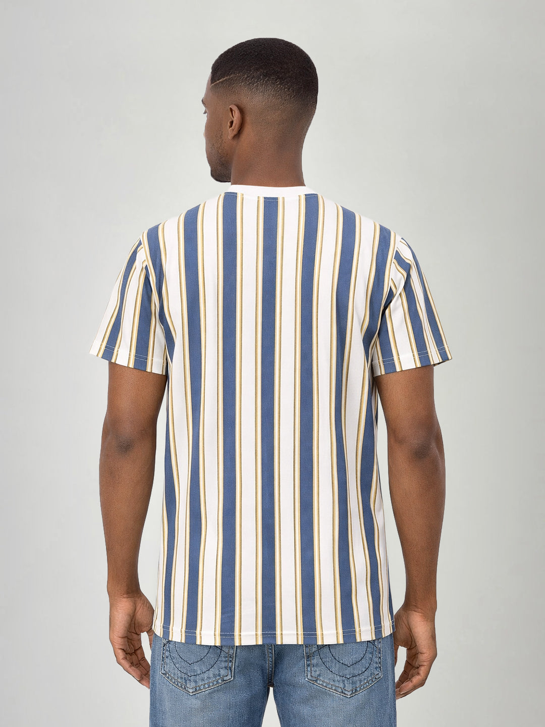 True Religion Men Multicolor Striped Regular Fit Pure Cotton T-Shirt